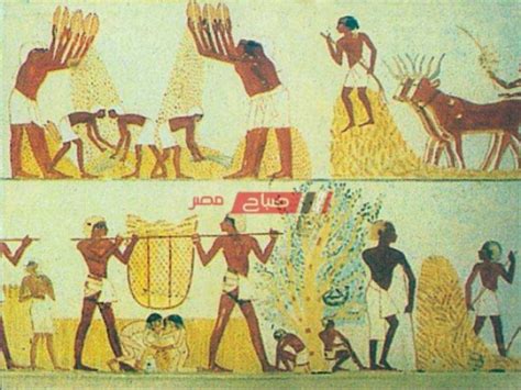 التجارة في مصر القديمة pdf